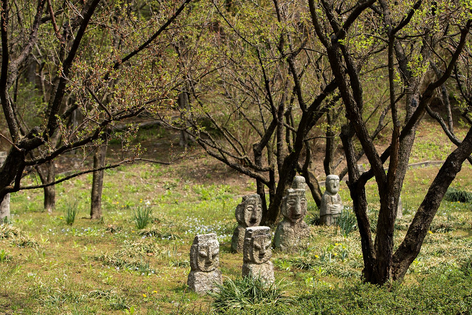 매림(梅林) 전경