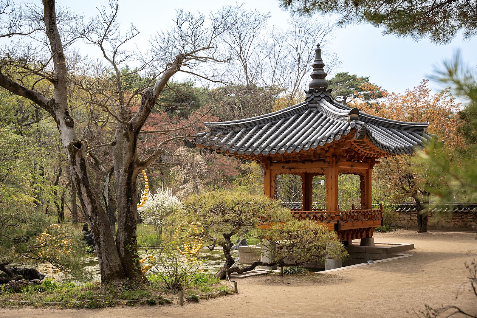 소원(小園) 전경