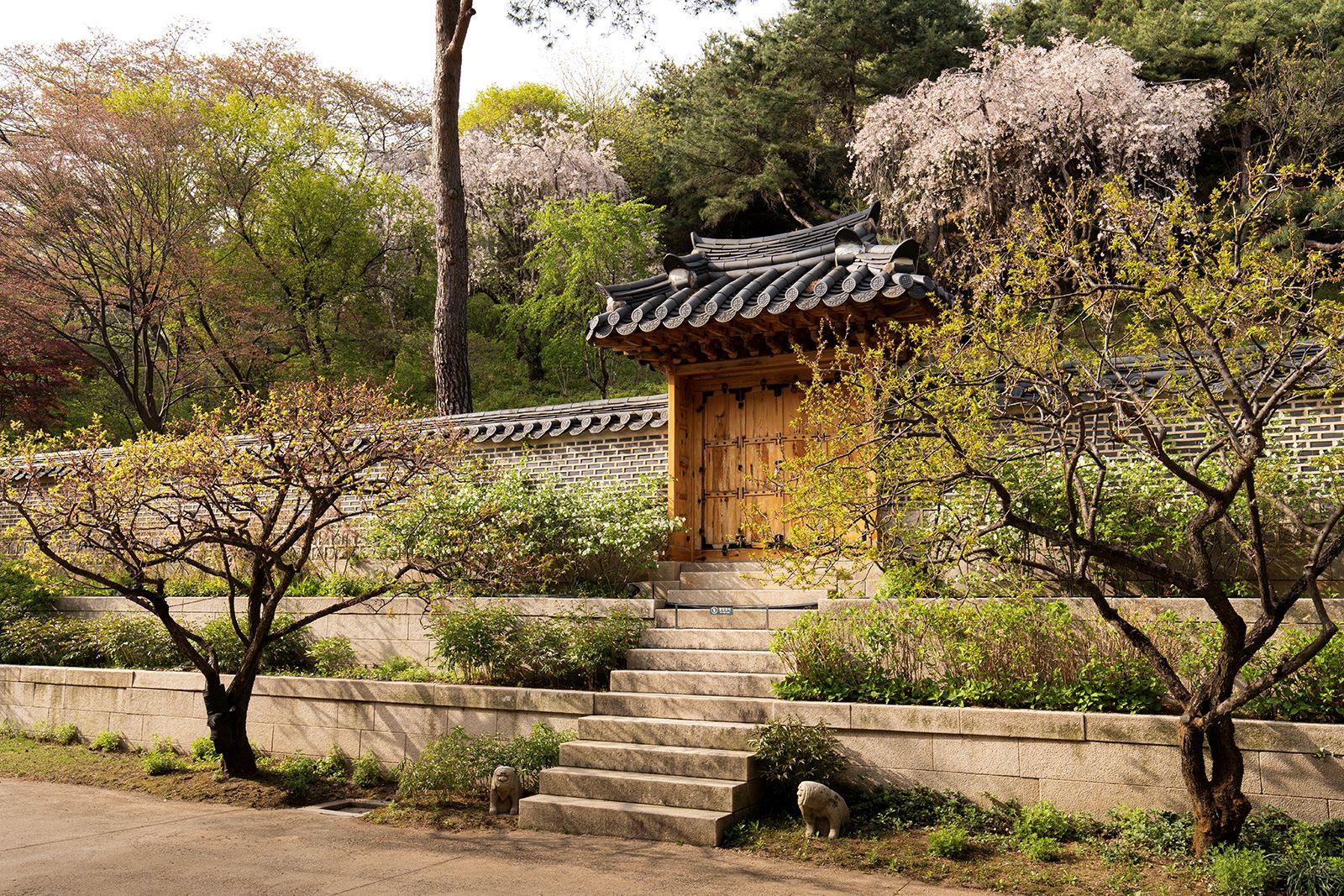 후원(後園) 전경