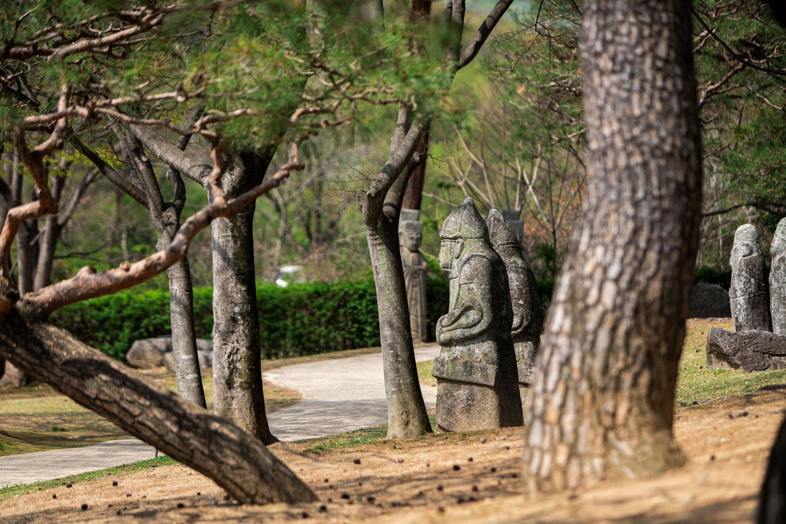 전통정원 희원