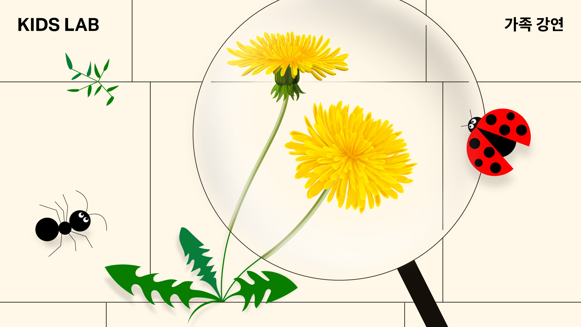 [키즈랩] 가족 강연 2: 야생과의 공존 - 도시의 작은 식물 알아보기