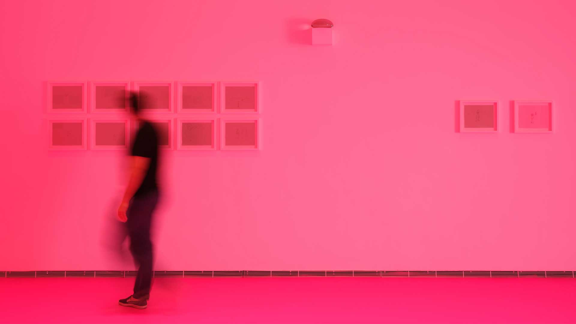 구정아 개인전 (가제)